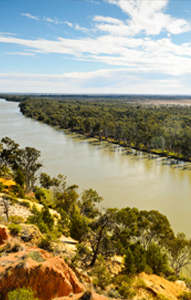 Daily River Murray flow report