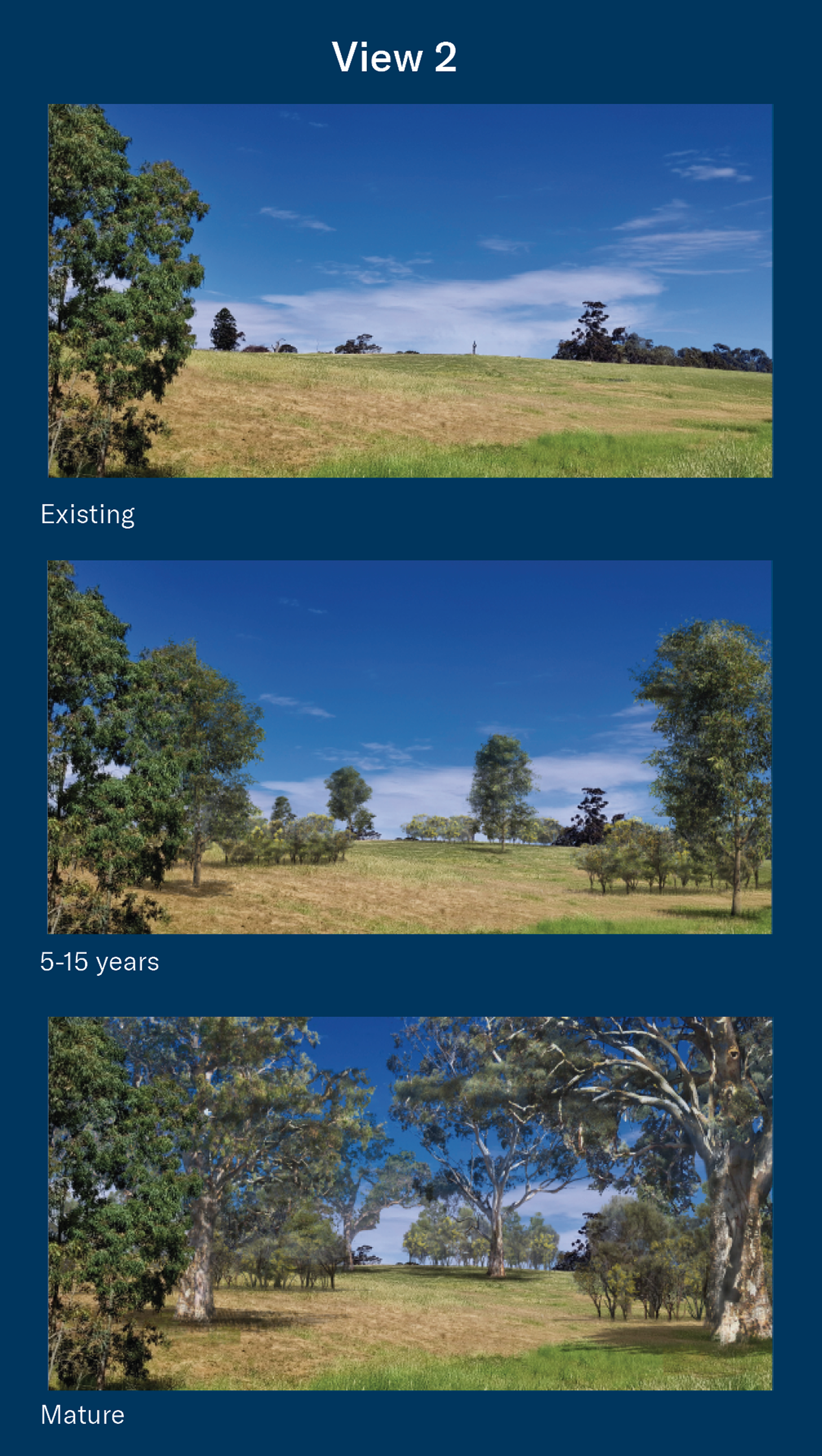 This image series, labelled "View 2", presents a visualisation of how a Reservoirs for Nature planting area at Mount Bold Reservoir Reserve is expected to change over time. Three landscape views are shown from the same location looking across an open grassy hillside. The first image, labelled "Existing", shows a gently sloping grassland with a small number of established trees on the horizon and along the left edge of the view. The second image, labelled "5–15 years", illustrates the site after restoration plantings have become established, with additional young trees and shrub vegetation appearing across the hillside while retaining open grassed areas. The third image, labelled "Mature", shows the same landscape after the vegetation has reached maturity, featuring larger established trees, a more developed canopy and denser native vegetation throughout the planting area. Together, the images demonstrate the gradual transformation of the Mount Bold landscape over time as Reservoirs for Nature plantings grow and establish over the next 25 years.