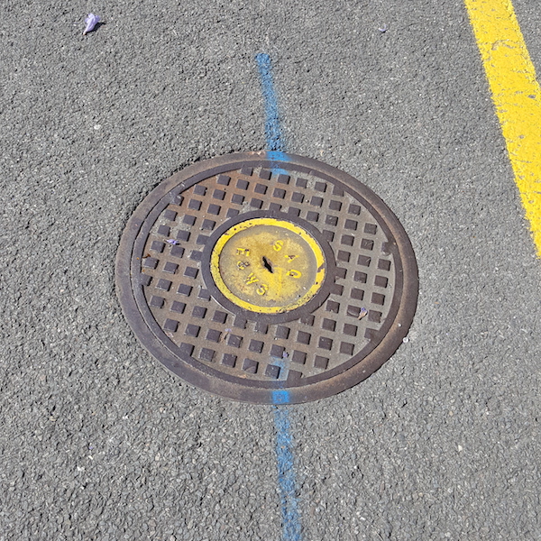 Fireplug (Yellow Plate)