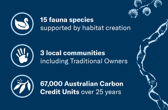 This infographic summarises ecological restoration outcomes. It consists of three stacked metrics on a solid dark blue background. Each metric is accompanied by a circular white icon representing plant life. The top metric reports that 320 hectares of previously cleared land have been restored. The middle metric reports that 130 flora species have been reintroduced into the landscape. The bottom metric reports that 40 flora species of conservation significance are present, accompanied by an icon showing a young plant and the words “LET IT GROW.” Key figures are displayed in bold white text to draw attention to the scale of restoration achievements. The overall message communicates positive environmental outcomes through land restoration, biodiversity recovery, and protection of significant plant species.