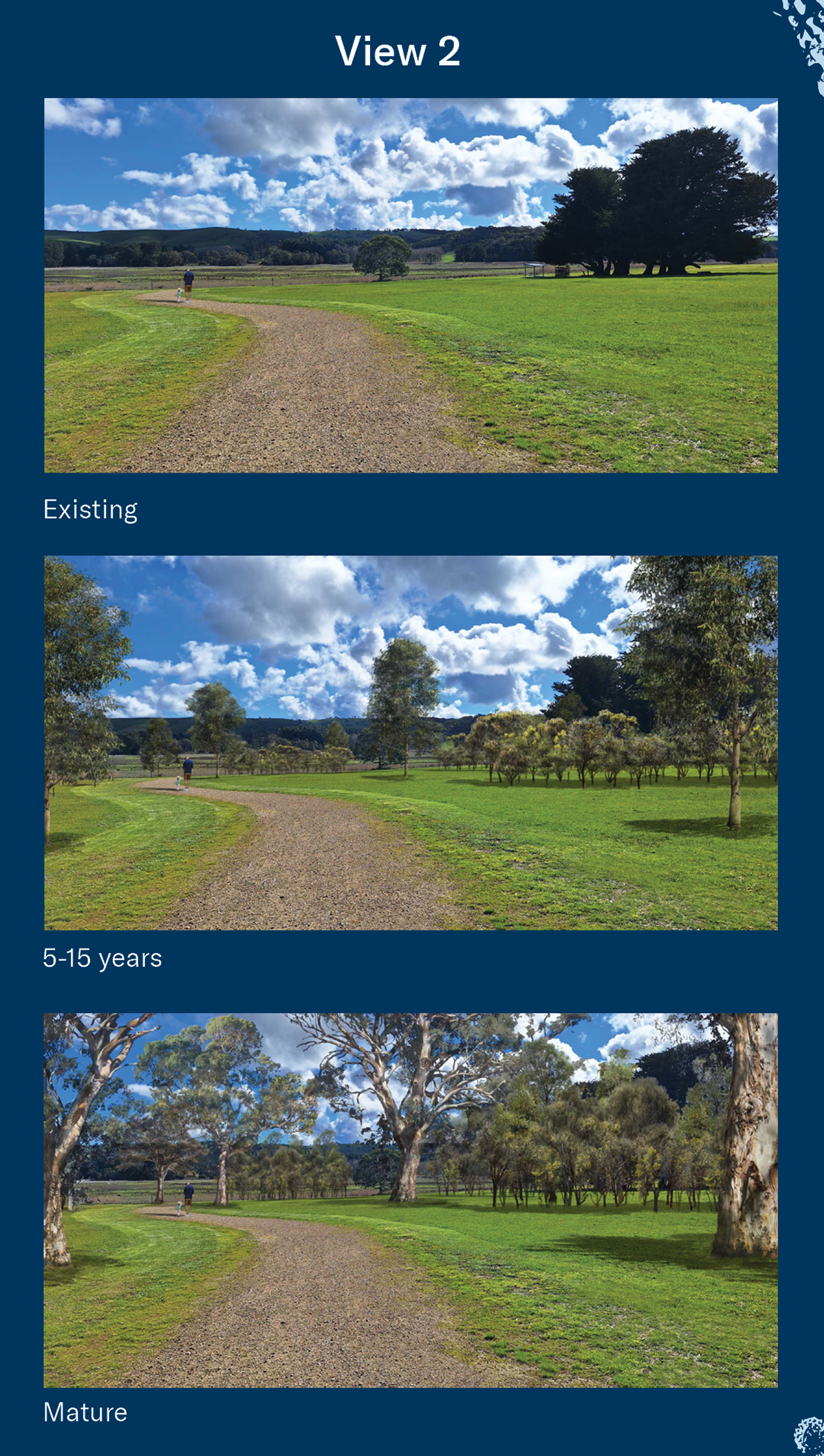 This image series, labelled "View 2", presents a visualisation of how a Reservoirs for Nature planting area at Myponga Reservoir Reserve is expected to change over time. Three landscape views are shown from the same location along a curved gravel walking path beside an open grassy area. The first image, labelled "Existing", shows a largely open landscape with grassed areas, a small number of established trees and distant hills in the background. The second image, labelled "5–15 years", illustrates the site after restoration plantings have become established, with additional young trees and shrub plantings visible on both sides of the path. The third image, labelled "Mature", shows the same landscape after the vegetation has reached maturity, featuring large established trees, a more developed canopy and denser native vegetation throughout the area. Across all three views, the walking path and surrounding landscape remain visible, demonstrating how the Reservoirs for Nature plantings are expected to gradually transform the site over the next 25 years while maintaining public access and open green space.