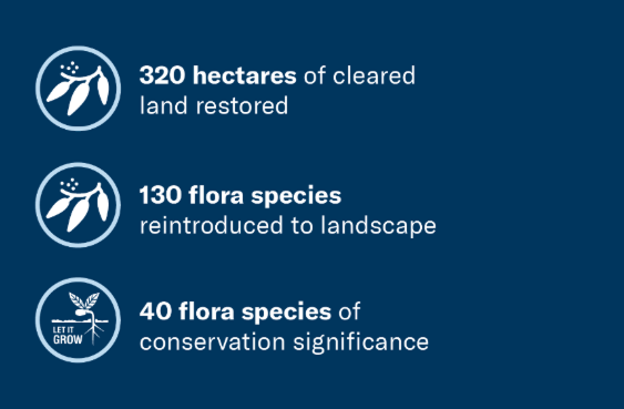 This infographic summarises ecological restoration outcomes. It consists of three stacked metrics on a solid dark blue background. Each metric is accompanied by a circular white icon representing plant life. The top metric reports that 320 hectares of previously cleared land have been restored. The middle metric reports that 130 flora species have been reintroduced into the landscape. The bottom metric reports that 40 flora species of conservation significance are present, accompanied by an icon showing a young plant and the words “LET IT GROW.” Key figures are displayed in bold white text to draw attention to the scale of restoration achievements. The overall message communicates positive environmental outcomes through land restoration, biodiversity recovery, and protection of significant plant species.
