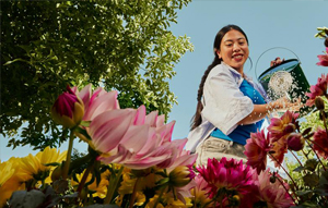 A middle aged lady using a watering can to water flowers in her garden